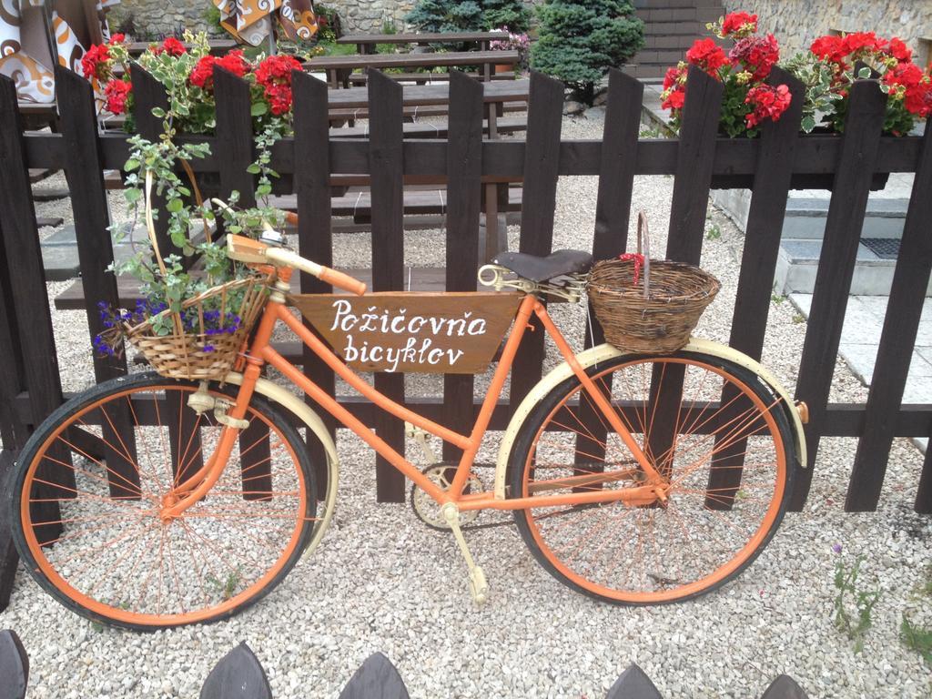 Penzion Javorina Čičmany Buitenkant foto