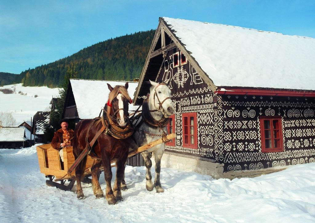 Penzion Javorina Čičmany Buitenkant foto