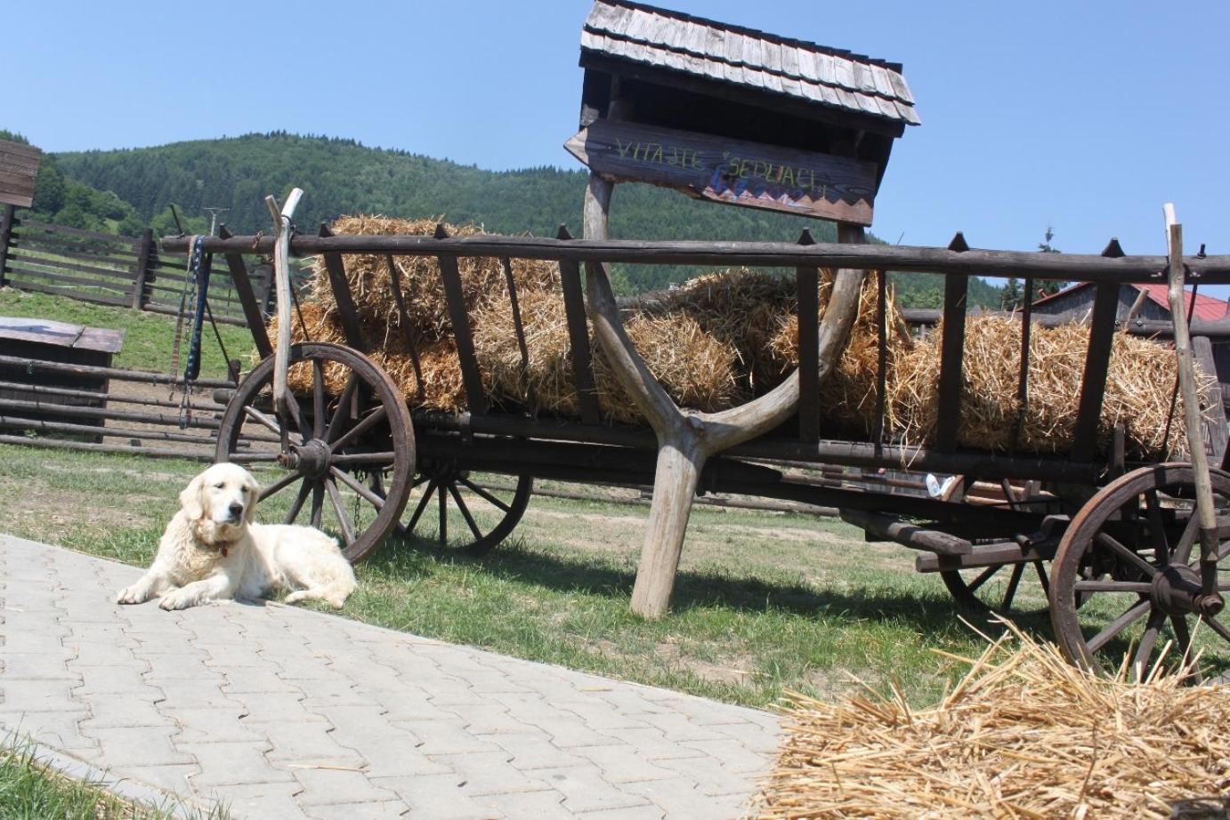 Penzion Javorina Čičmany Buitenkant foto