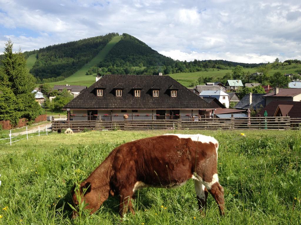 Penzion Javorina Čičmany Buitenkant foto